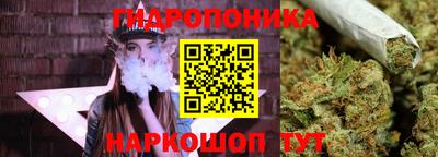 PSILOCYBIN Мариинск