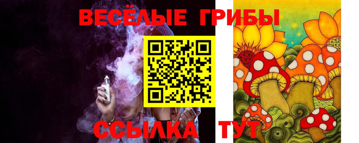 Псилоцибиновые грибы GOLDEN TEACHER Янаул