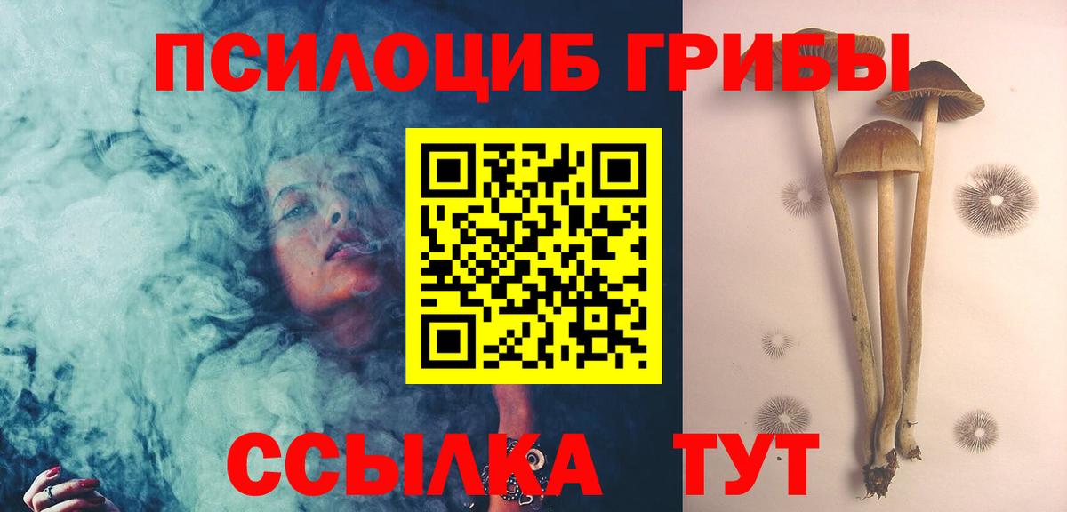 Псилоцибиновые грибы ЛСД  Псилоцибиновые грибы Magic Shrooms  Янаул  Вход с VPN 